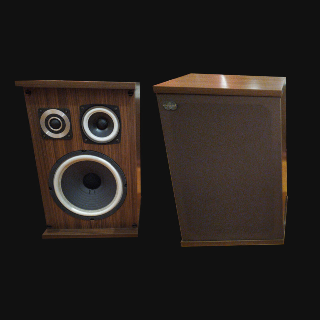 RS Music - Altoparlanti Vintage 50 W