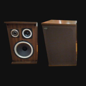 RS Music - Altoparlanti Vintage 50 W