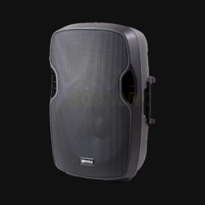 RS Music - Altoparlante Gemini 500 W